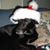 Bobbie Neal's profile image
