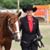 Leigh Whiteside's profile image