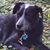 Jill Scadron Philmlee's profile image