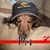 Dianne Reeves Smith's profile image