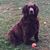 Susan Stewart's profile image