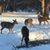 Nancy Verrill Clinch Cutress's profile image
