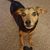Cyrenia Herbert-Spellman's profile image