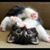 Greg Lobeck's profile image