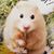 Dorathy Ramon's profile image