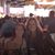 Lisa Cook Leggio's profile image