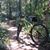 Kersten Watson's profile image