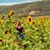 Robyn McLeod Thrasher's profile image