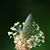Lori Gurley Deakins's profile image
