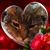 Sylvia Fernandes's profile image