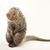 Jody Nosworthy's profile image
