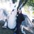 Juan Sanchez II's profile image