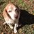 Stephanie Spillman's profile image