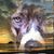 Heather Knops's profile image