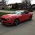 Kevin Taylor's profile image