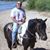 Morris Friedman's profile image