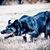 Mary Ann Thomas's profile image