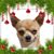 Patt Elmore's profile image