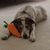 Patty Martin Lasher's profile image
