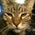 Michelle Yvette's profile image