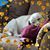 Debbie Smith's profile image