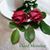 Ana Hurtado Castro's profile image