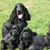 Vera Leachman's profile image