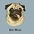 Christopher Lightfritz's profile image