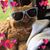 Gail Corliss's profile image