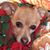 Julie Reynolds Reinhart's profile image