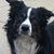 Joan Gilmore's profile image