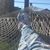 Annette Burcham's profile image