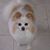 Becky Briggs Datson's profile image