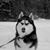 Katie Ingerson's profile image