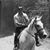 Jesse Rice's profile image