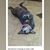 Susan Green Jones's profile image