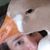 Landys Bradley's profile image