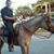 David Alvarez's profile image