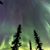 Maie Napier's profile image