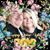 Tammy Lewis Robertson's profile image
