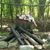 Cindy Backus's profile image