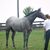 Diana Mcclure's profile image