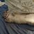 Muriel Pelham Smith's profile image