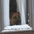 Dawn Dufault's profile image