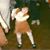 Katie Gagnon's profile image