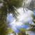 Jose Osorio Castillo's profile image