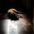 Deb Racheter's profile image