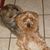 Sandra Cullum Sullivant's profile image