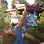 Michelle Bisson's profile image