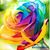 Debra Yanke's profile image